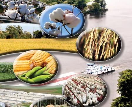 2020 Land Value Book