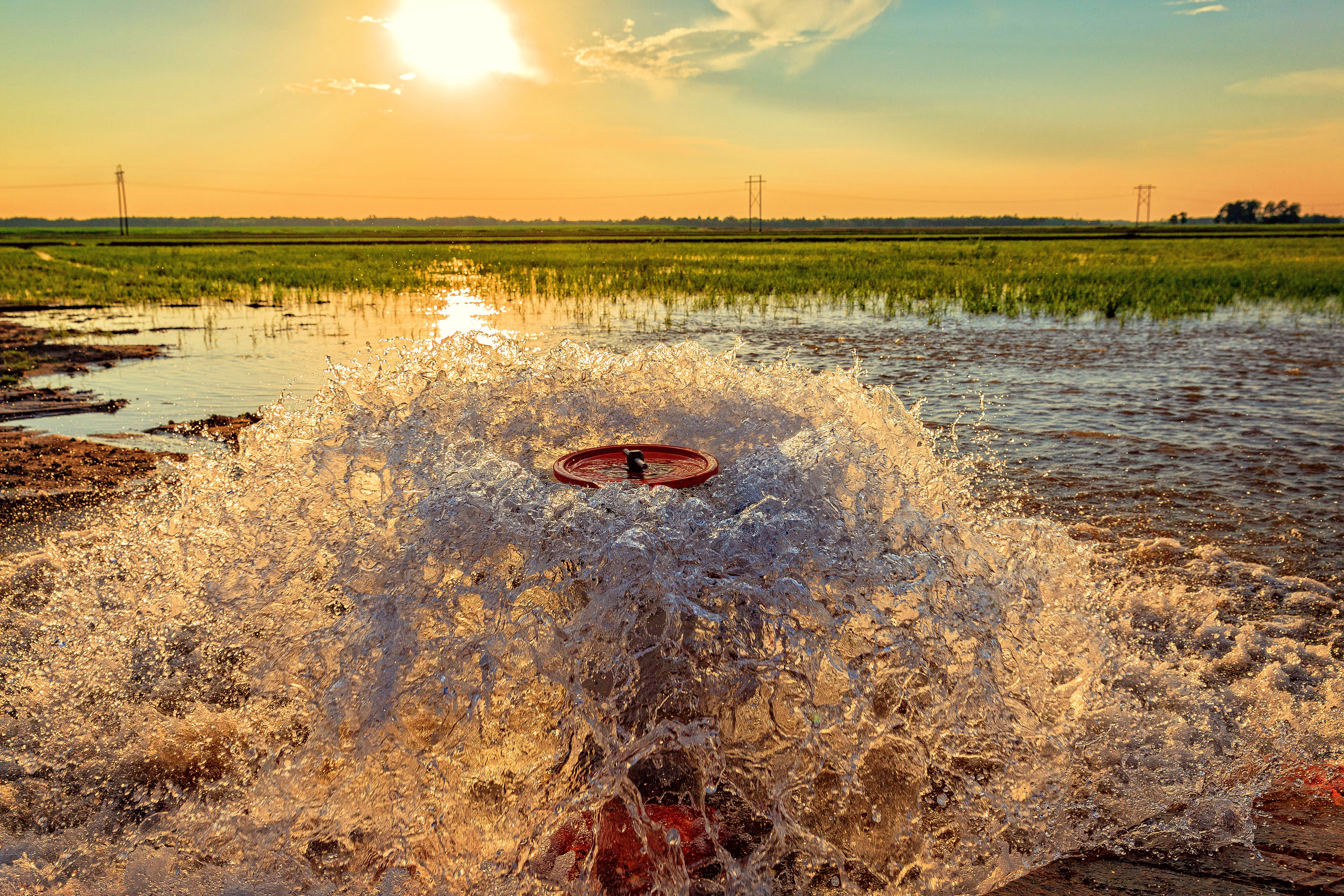 Irrigating A Rice Field