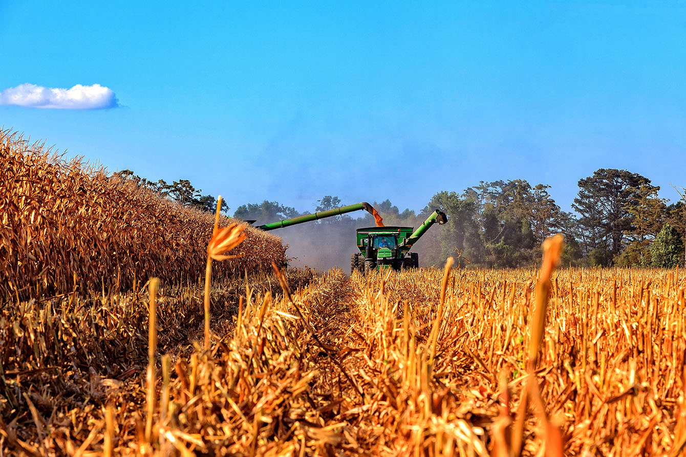 Harvest