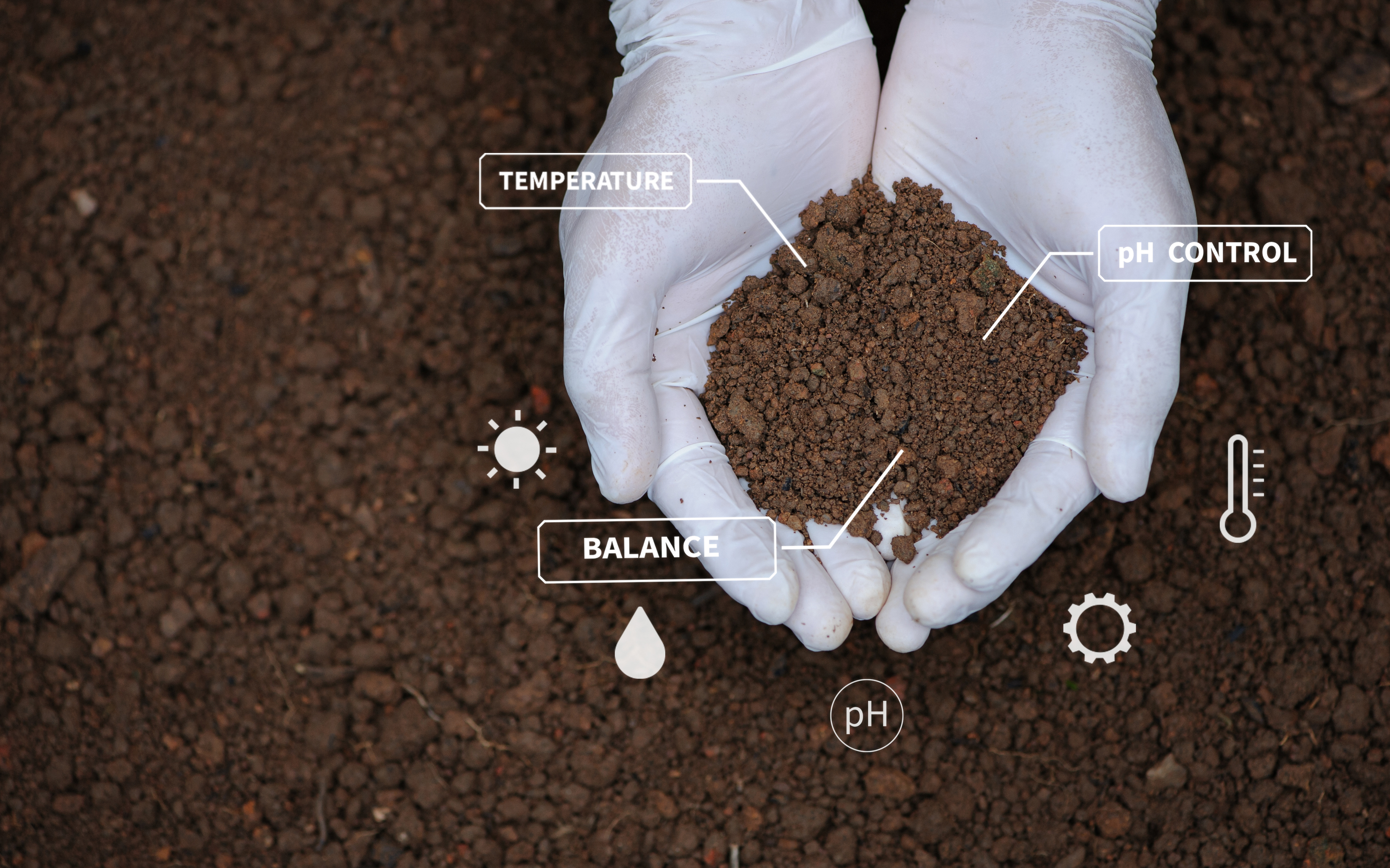 Soil Analysis