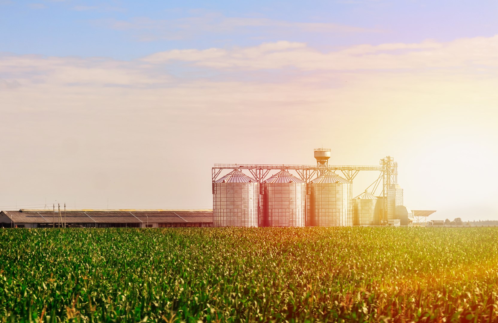 Grain Bins