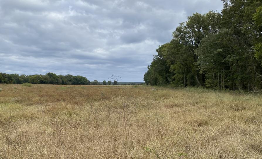 Tonymon Farm