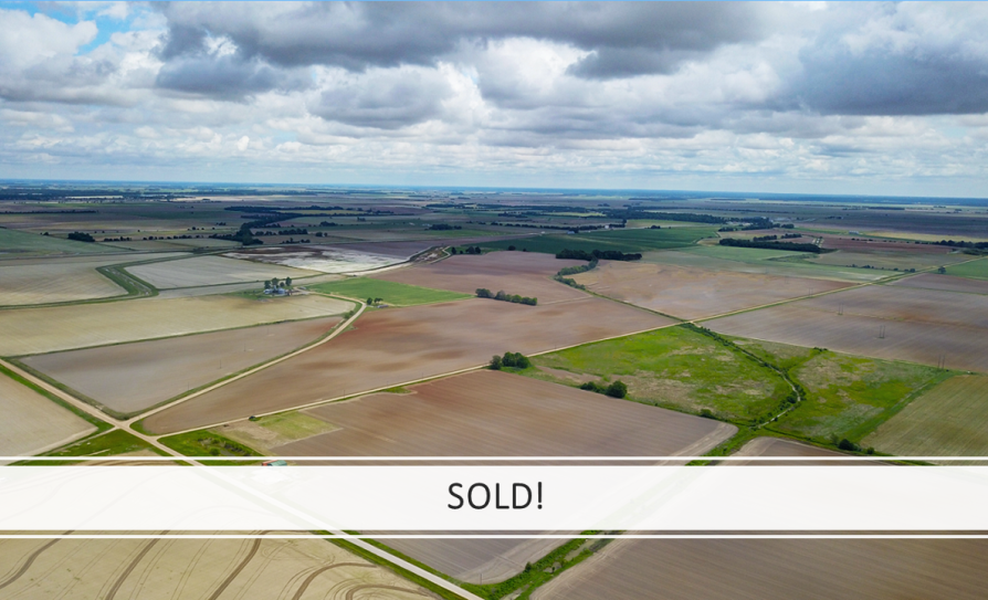 Sold!