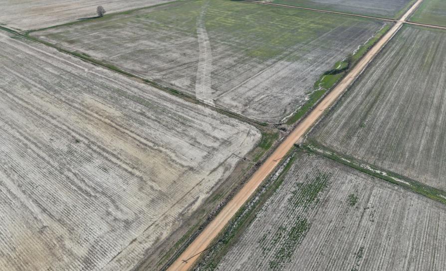 Land Auction in Craighead & Poinsett County Arkansas